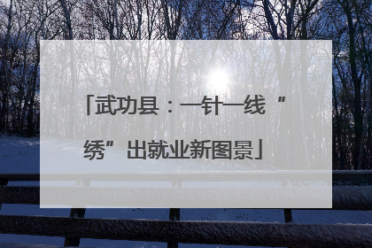 武功县：一针一线“绣”出就业新图景